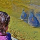 L'enfant et les poissons