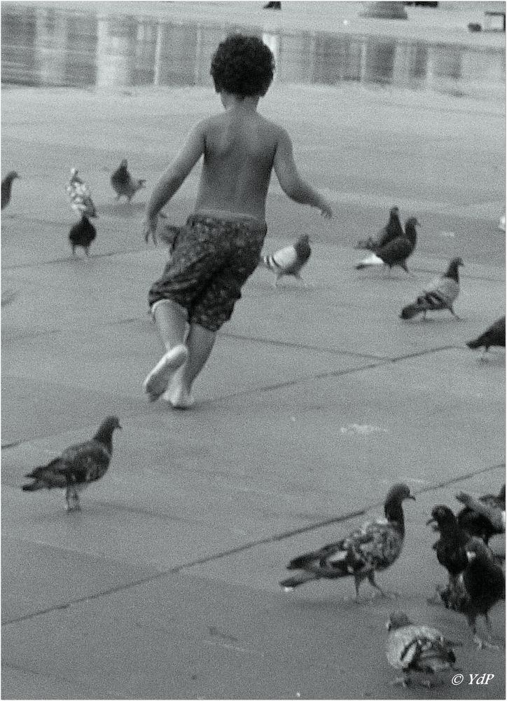 L'enfant qui batifolait parmi les pigeons...