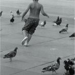 L'enfant qui batifolait parmi les pigeons...