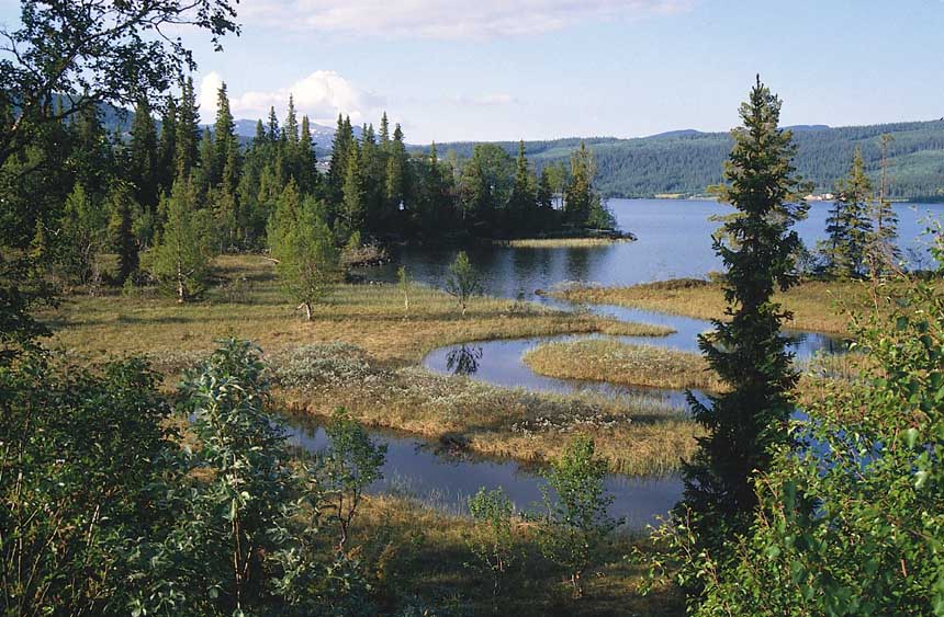 Lenglingen (schon fast Schweden) Foto & Bild europe, scandinavia