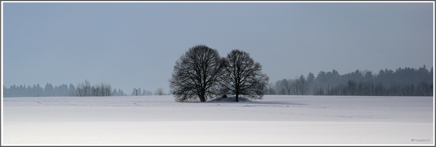 Lengwiler Weiher #1