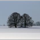 Lengwiler Weiher #1