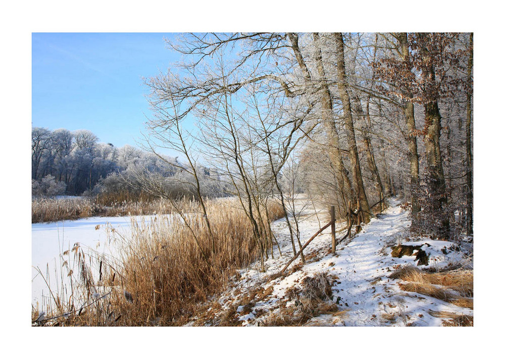 Lengwiler Weiher