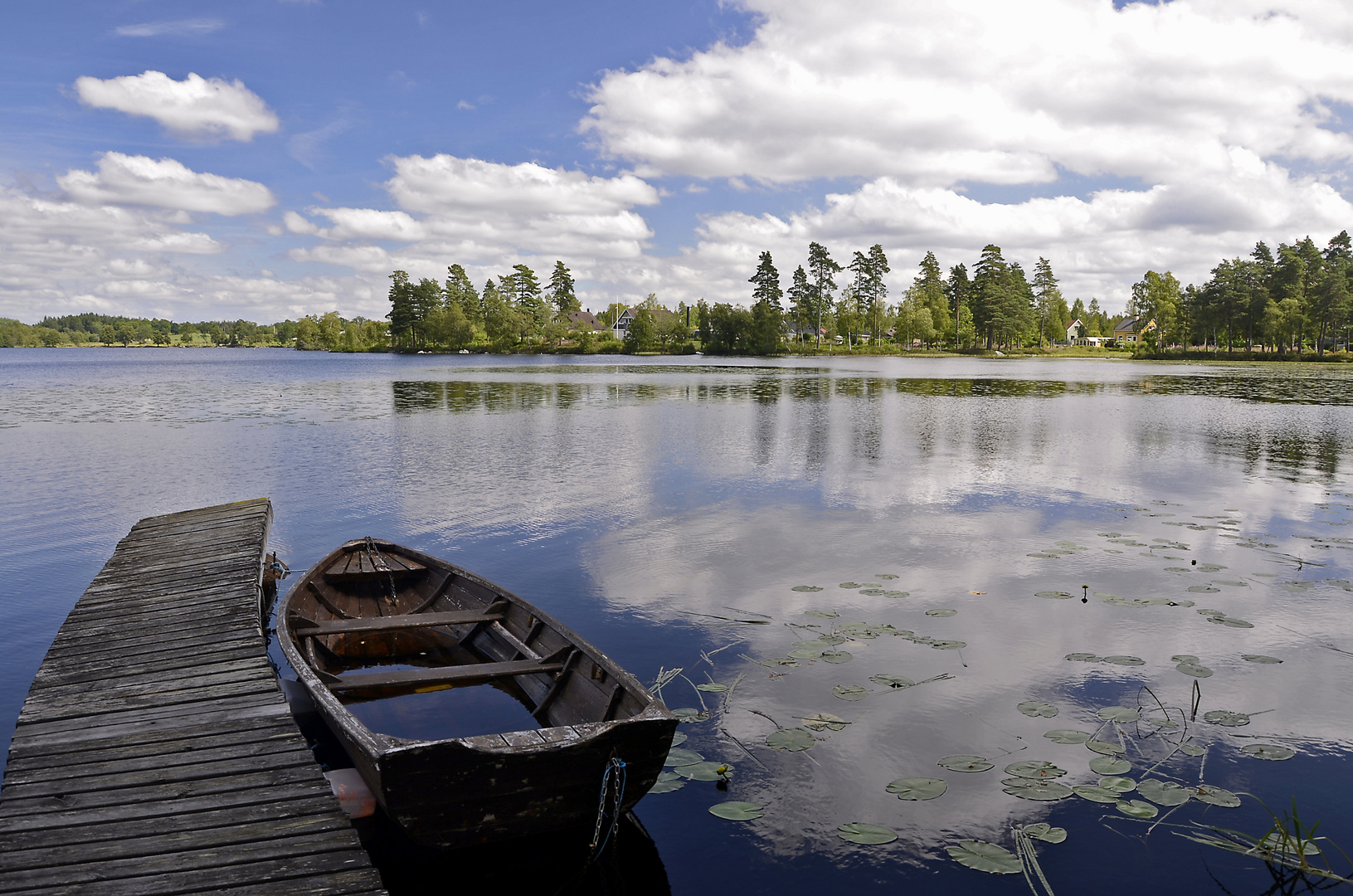 Lenhovdasjon, Småland, Sverige