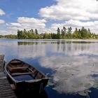 Lenhovdasjon, Småland, Sverige