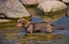 Leni "on the rocks"