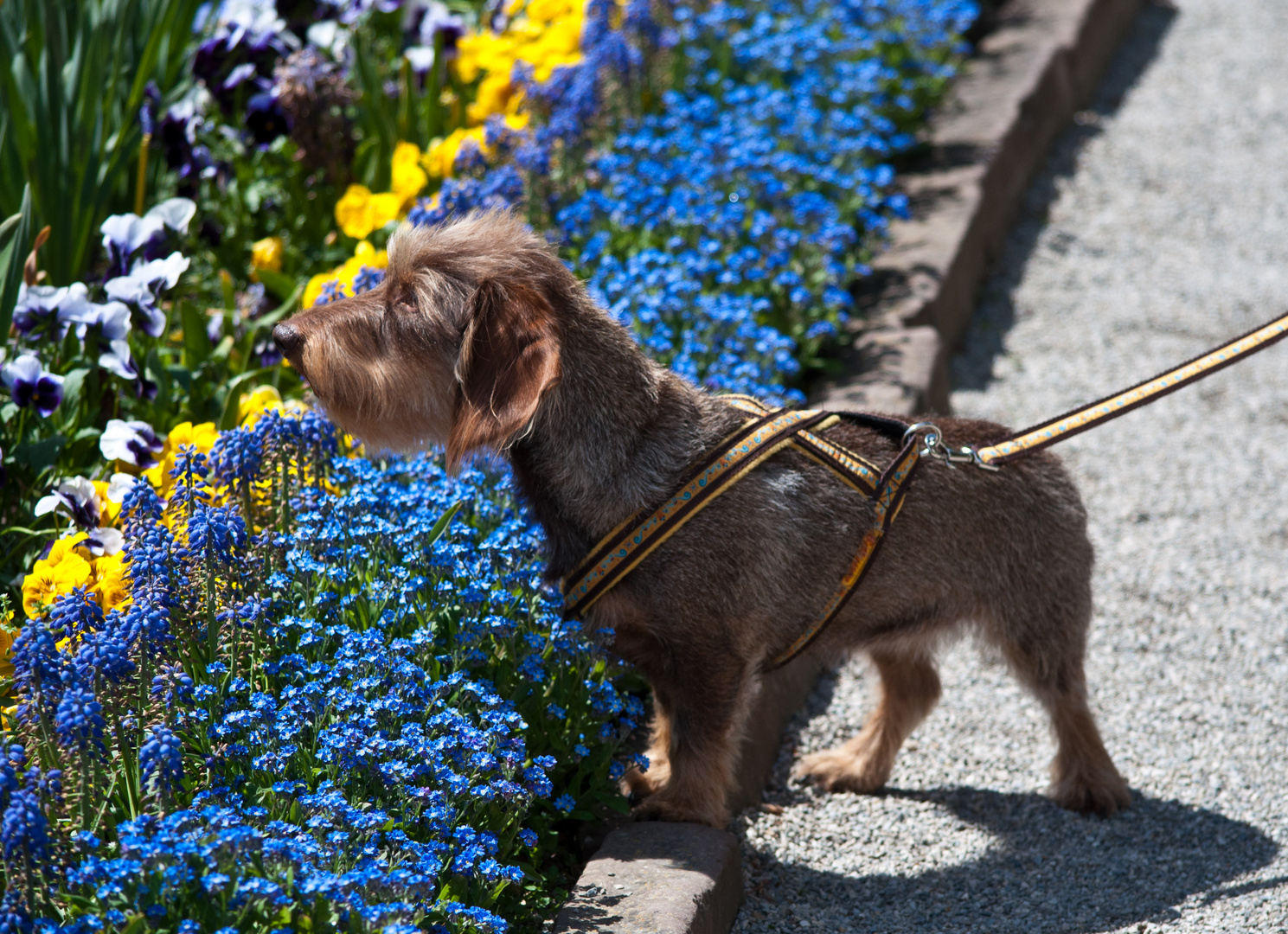 Leni's erster Besuch im Botanischen Garten