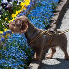 Leni's erster Besuch im Botanischen Garten