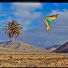 Lenkdrachen auf Fuerteventura