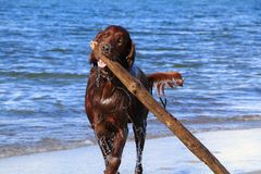 Lennard am Strand