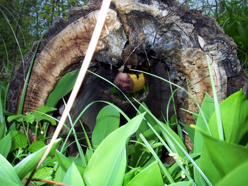 lennart im wald