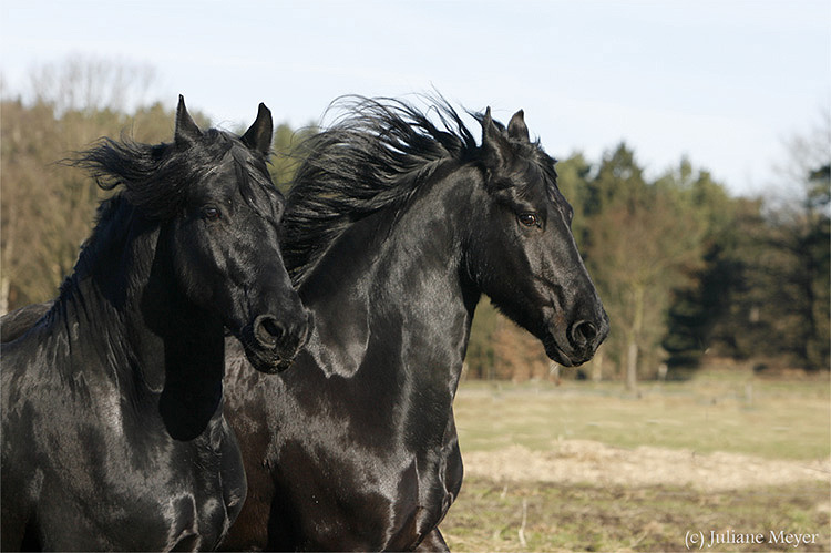 Lennert und Hylke