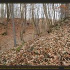 LENNINGEN-Gutenberg, Burgruine Sperberseck, Wall und Graben der Vorburg