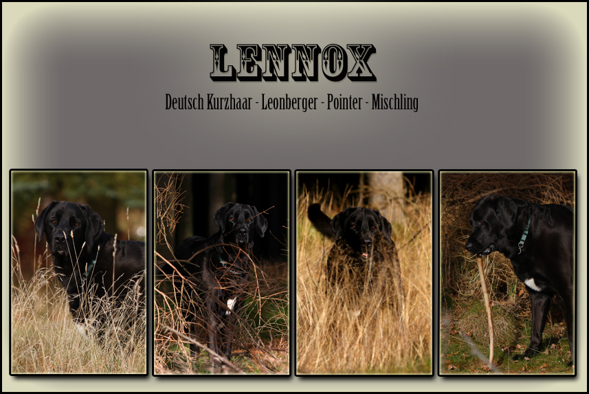 Lennox