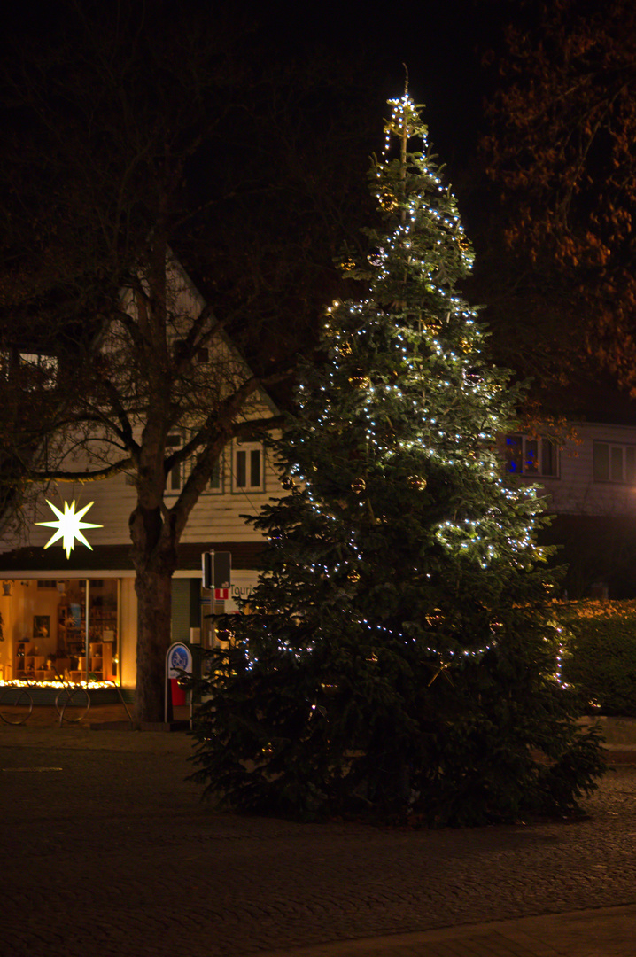 Lenny Linse Reisetagebuch "zweiter Advent"