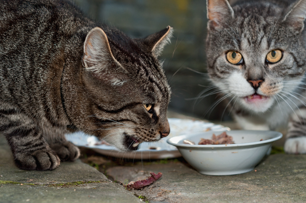 Lenny und Paul