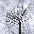 Lensbaby-Gehversuch 3