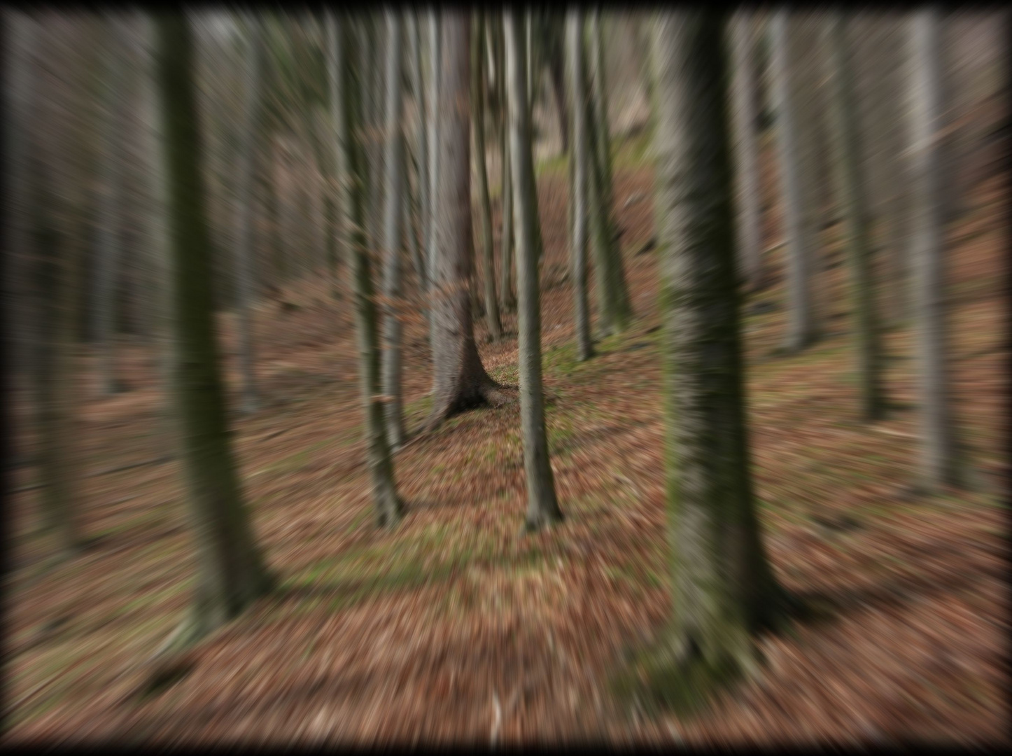 LENSBABY: irrungen und wirrungen