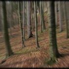 LENSBABY: irrungen und wirrungen