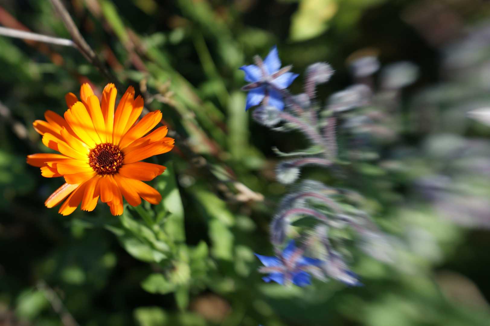 LENSBABY - Spiel mit der Farbe