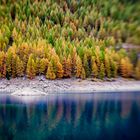 Lensbaby Stausee Schnalstal im Herbst