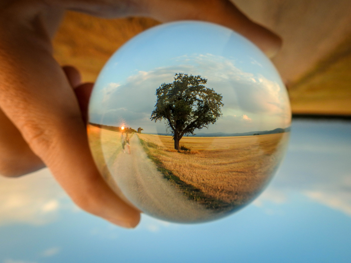 Lensball Foto Bild Landschaft Natur Kreativ Landschaften Bilder Auf Fotocommunity
