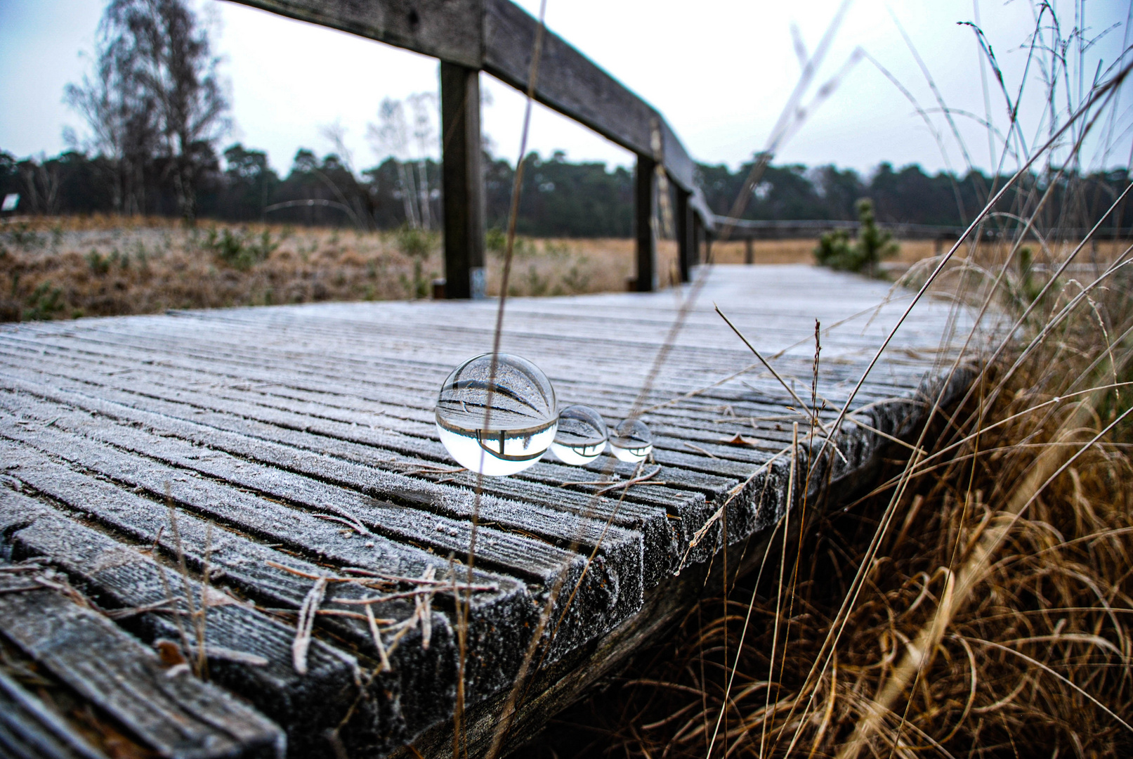 Lensball