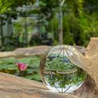 Lensball