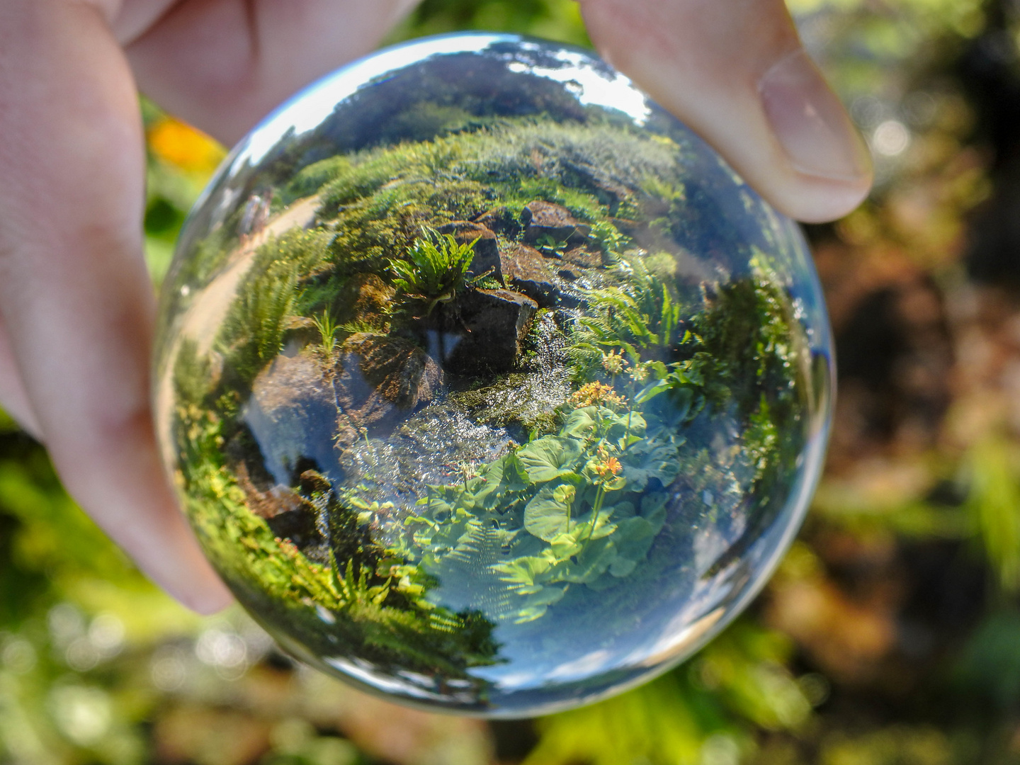 Lensball