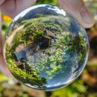 Lensball