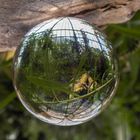 Lensball