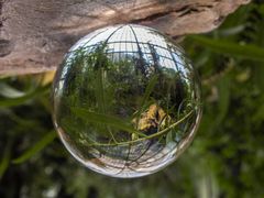 Lensball