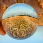 Lensball