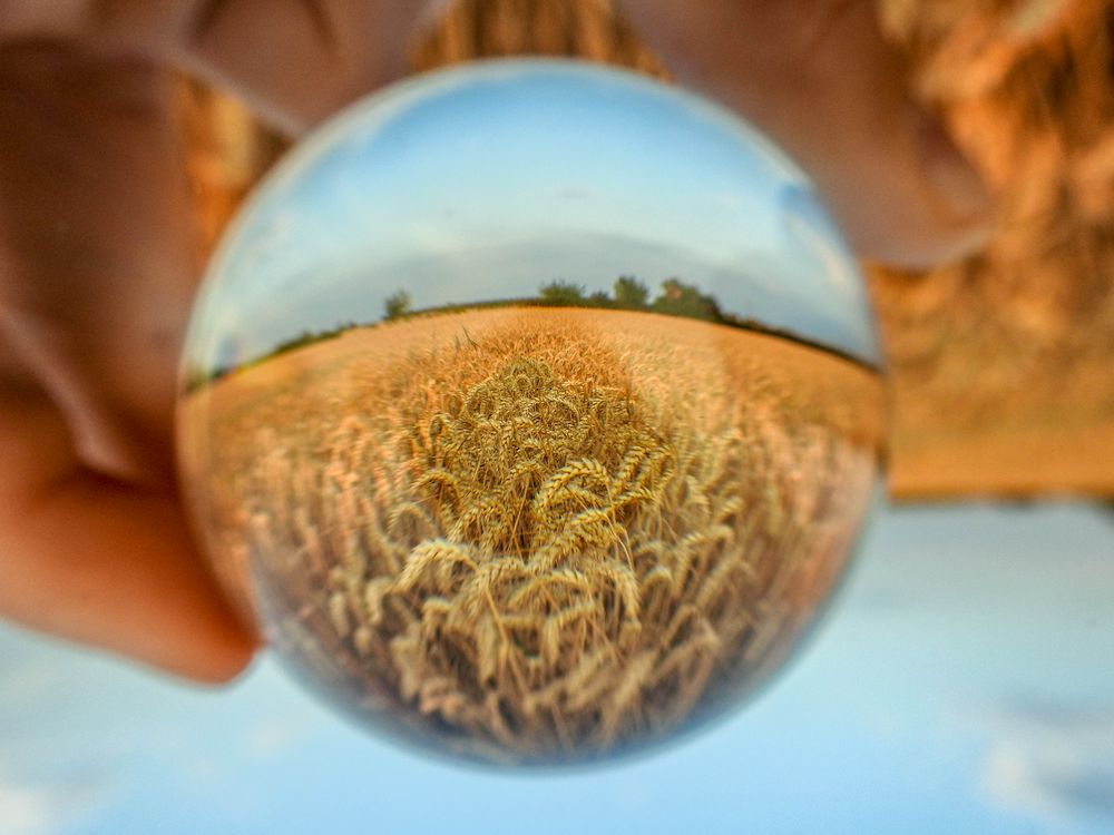 Lensball