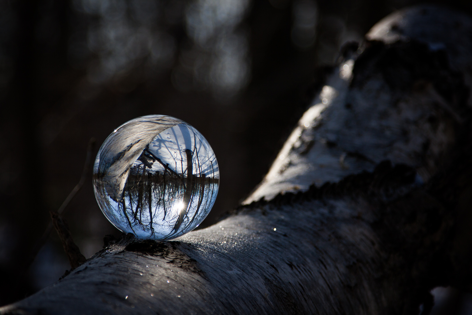 Lensball 