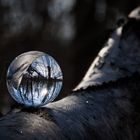 Lensball 