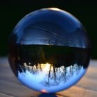 Lensball Garden 2