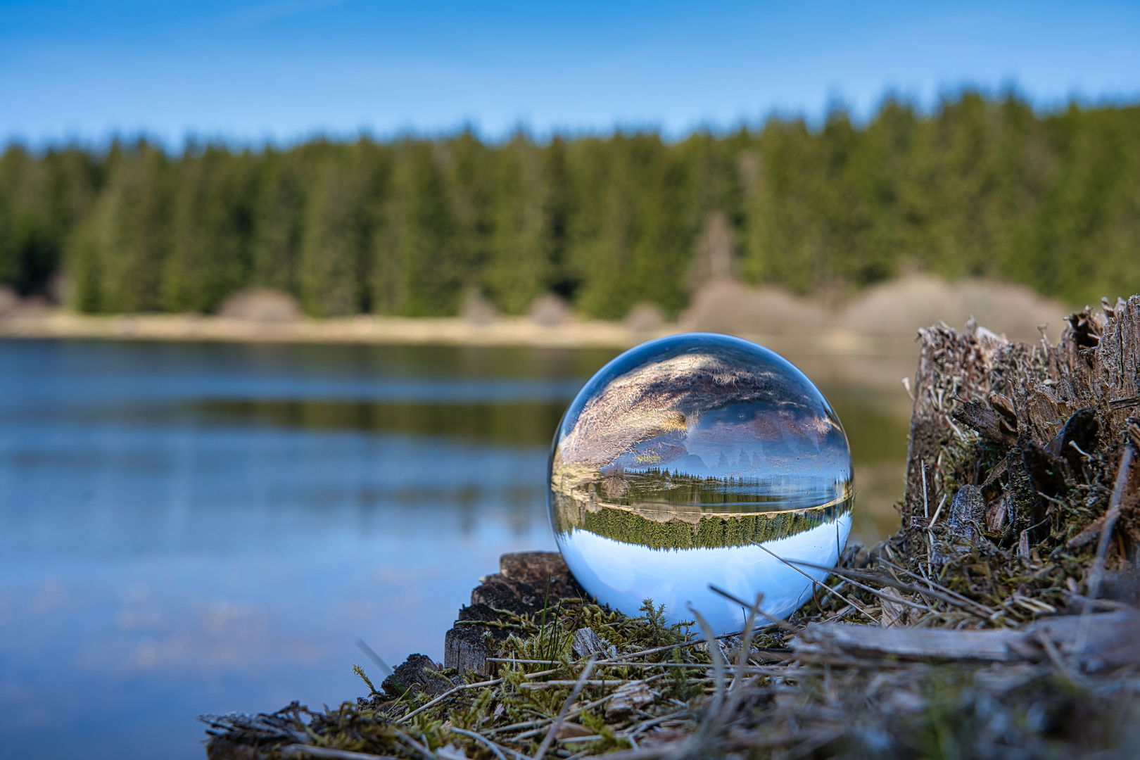 Lensball Harz