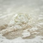 Lensball im Wasser