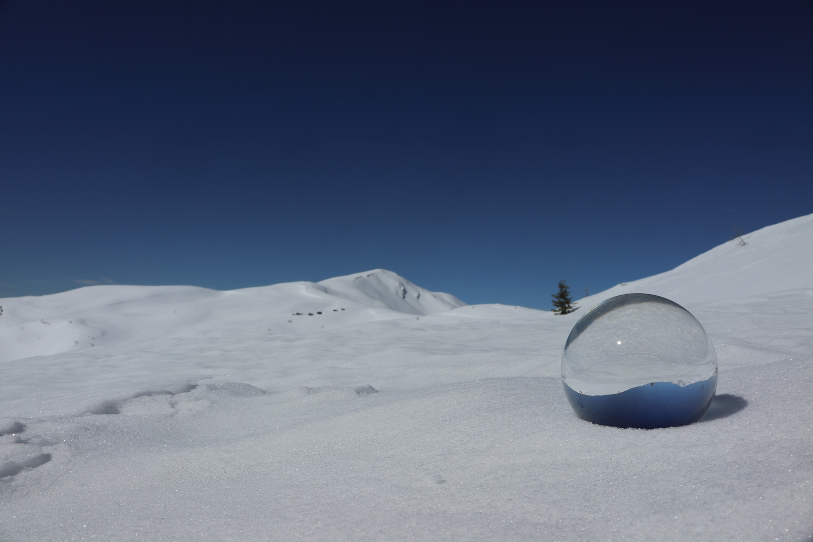 Lensball Panorama