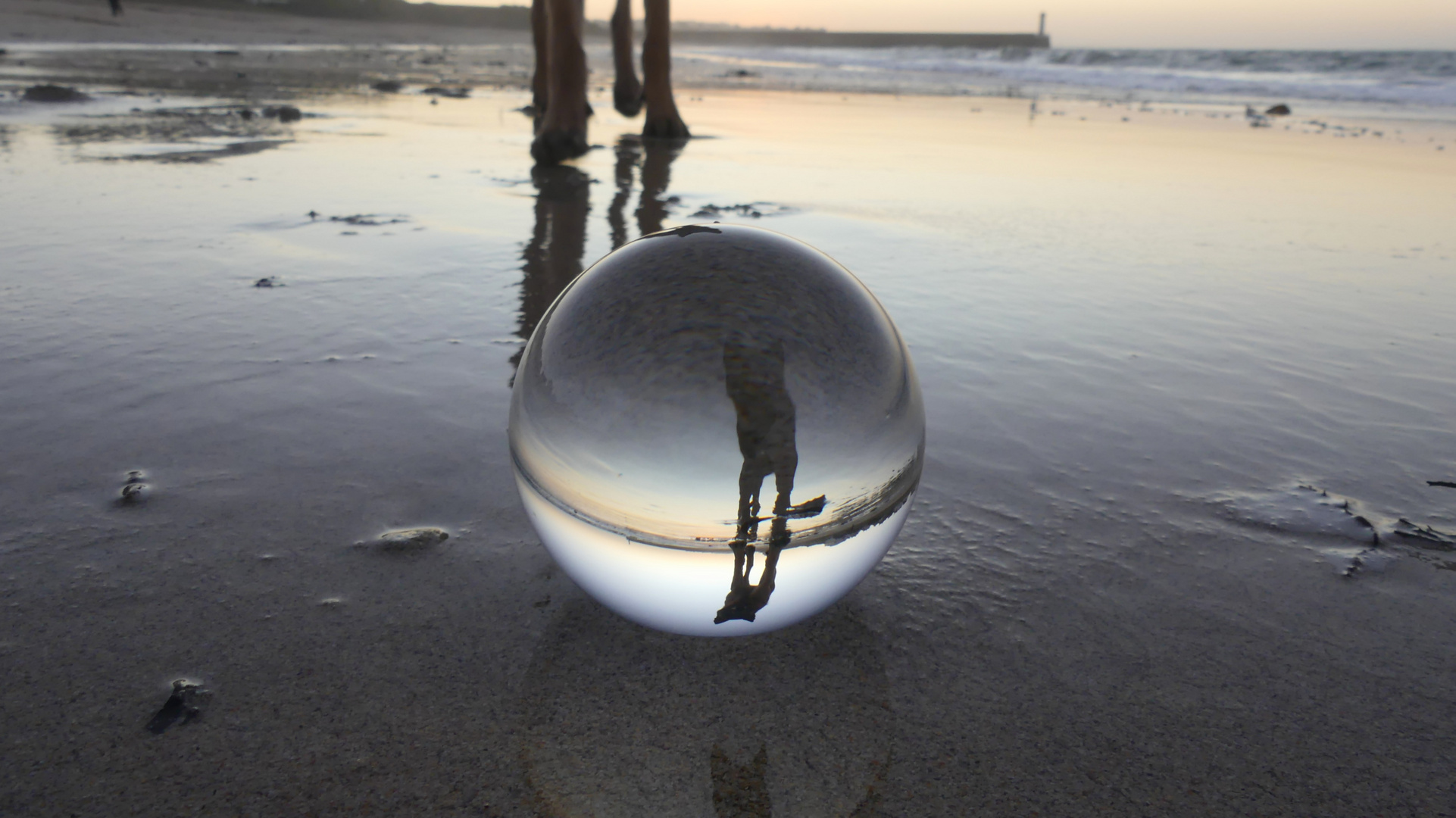 Lensball-Spiegelung mit Hund