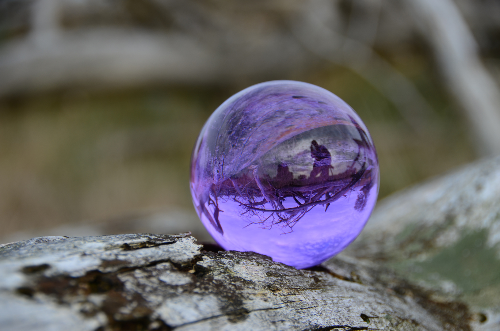 Lensball trial I Hoge Veluwe