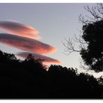 LENTICULAIRES N° 2