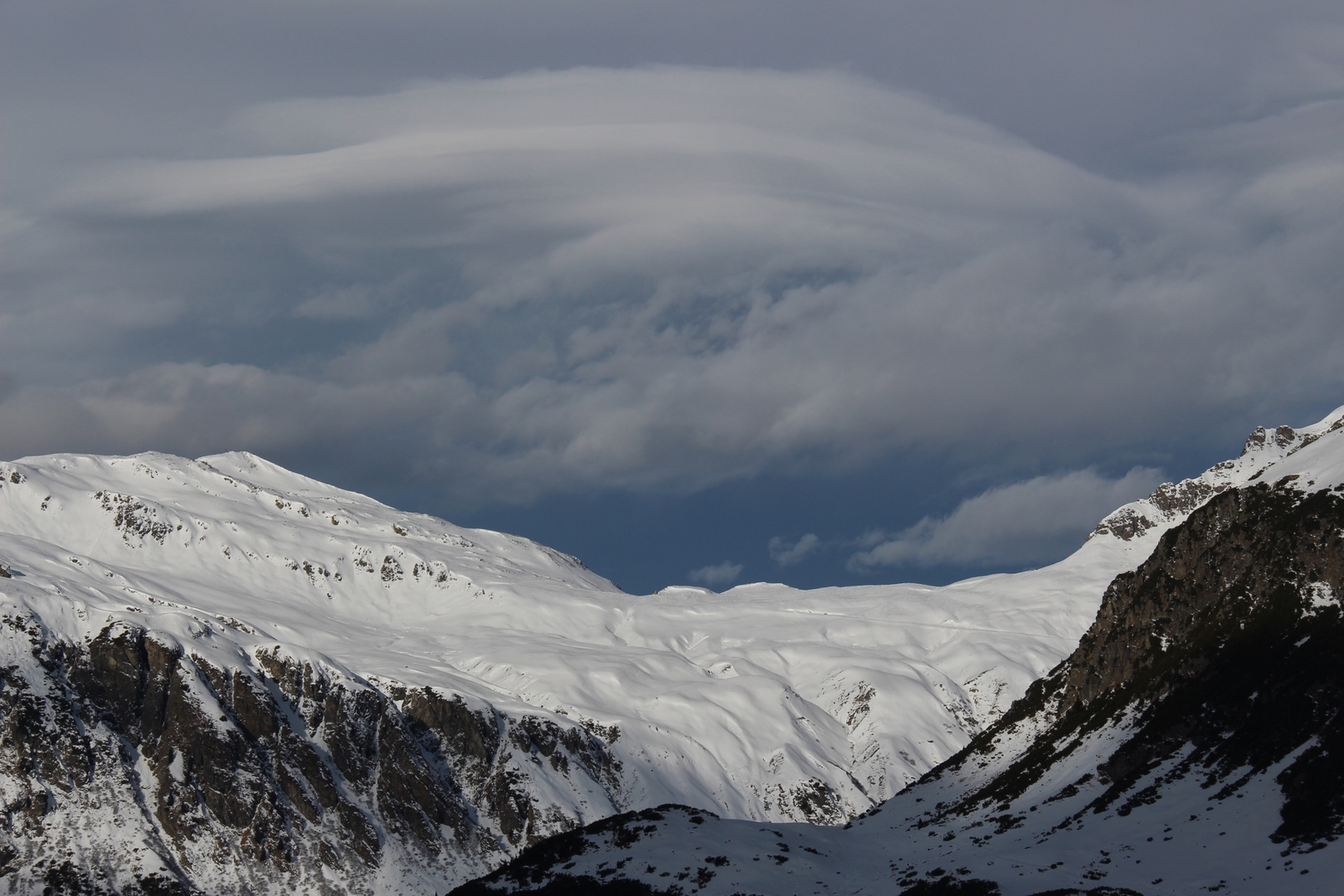 lenticularis