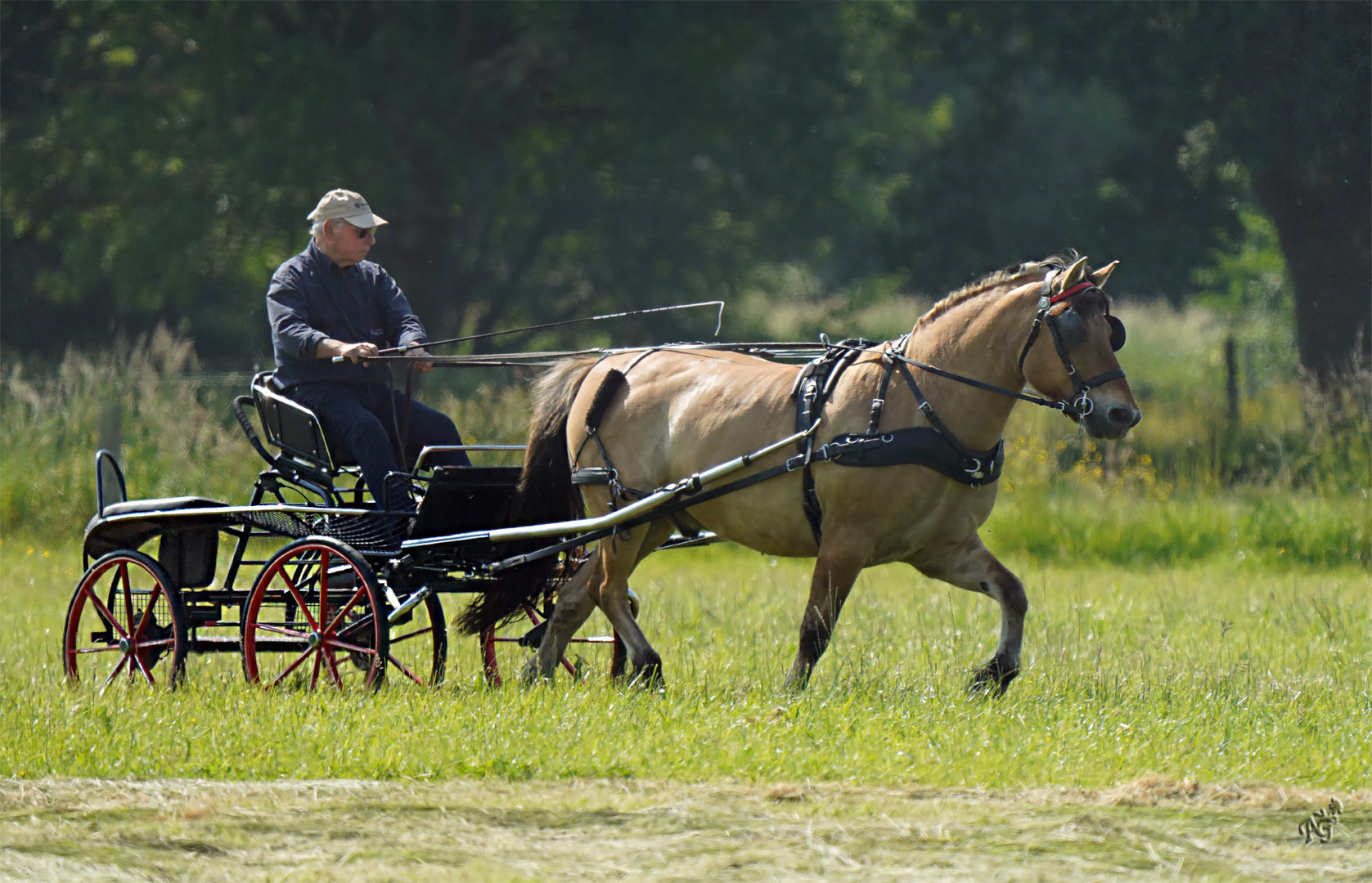 L'entrainement