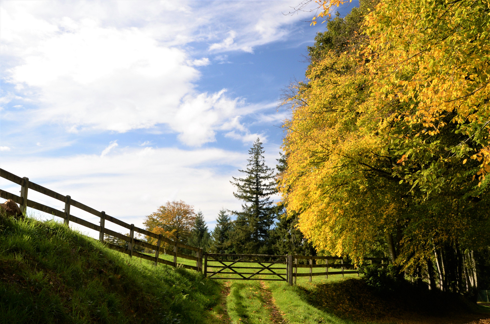 L'entrée du champ en automne