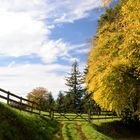 L'entrée du champ en automne