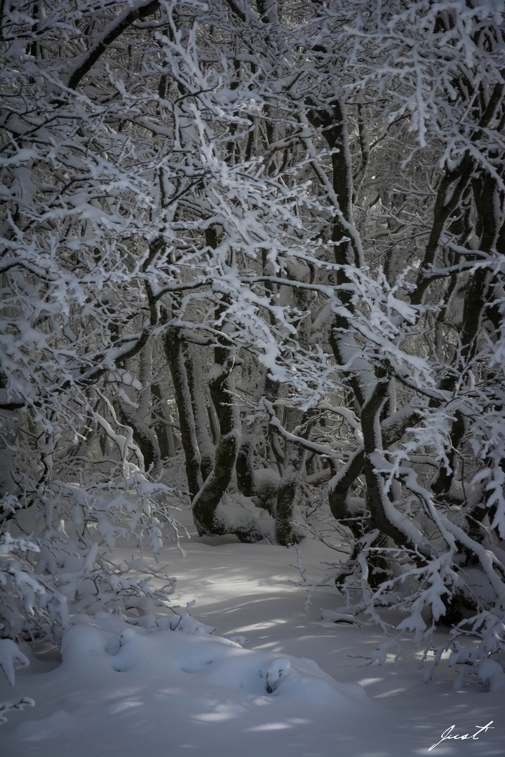 L'entrée mystérieuse