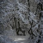 L'entrée mystérieuse