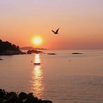 l'envol .......